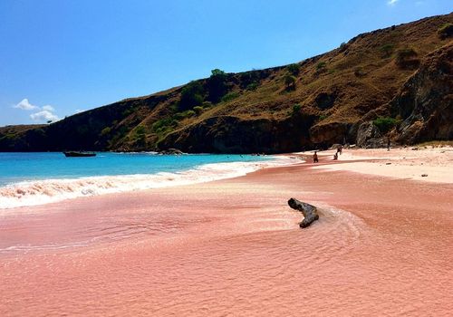 Pink Beach KOMODO