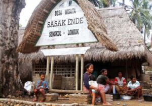 Wisata Desa Ende